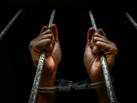 Skandál: Zločinci zneužívali Starlink k obchodu s lidmi a finančním podvodům