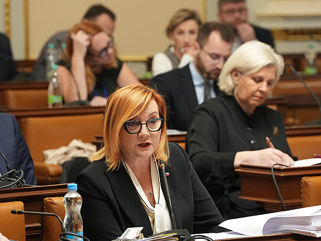 ANO, SPD a Motoristé chtějí jiný rozpočet. Jsou jako tygr v masně, míní Stanjura