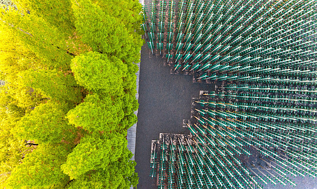 Les pro milovníky piva. Relaxovat můžete pod instalací pivních lahví v Číně