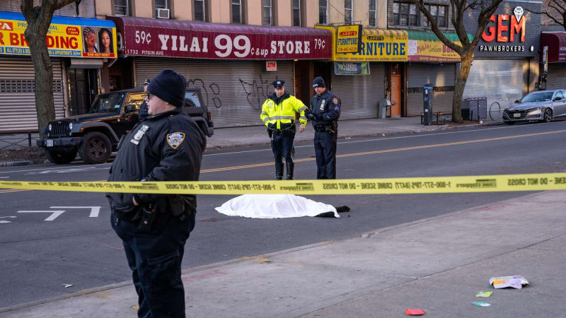 Krutá smrt dětské hvězdy: Herečku vláčelo auto ulicemi Brooklynu, řidič z místa ujel
