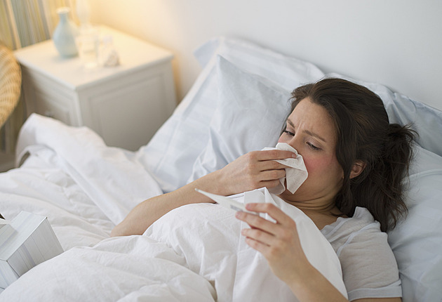 Chřipka zabila nejméně 63 lidí. Zdá se, že epidemie už překonala svůj vrchol