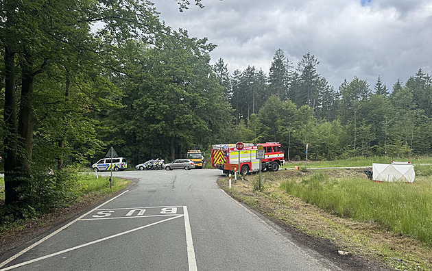 Jel opilý a s pervitinem. Řidiče obvinili, že smetl auto a zabil jeho šoféra