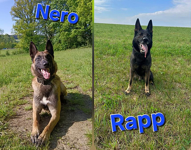 Seniorka šla pro kopřivy a upadla na poli, po dlouhém pátrání ji našli až v noci