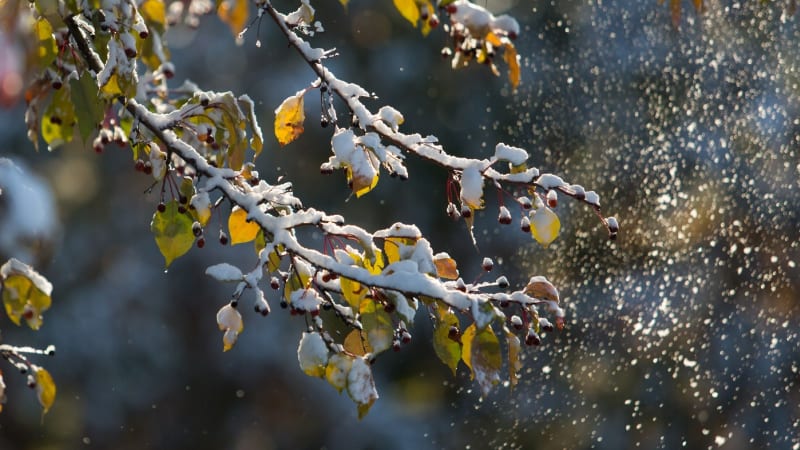Sněžení se žene Českem, pak přijde zlom. RADAR ukazuje, kde napadne nejvíc