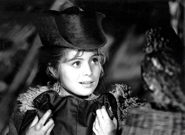 Porušuje německá výstava práva Libuše Šafránkové? České soudy to řešit nebudou