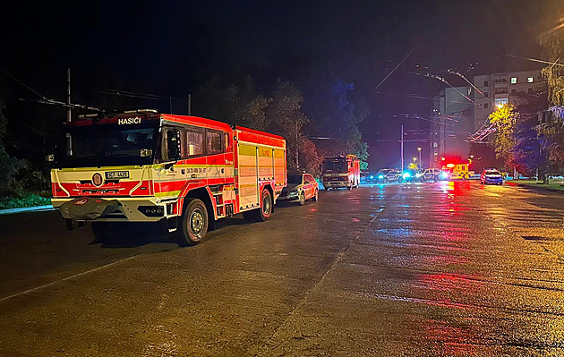 Žena šla ukončit život do lesa sebevrahů. Našli ji zraněnou a v bezvědomí