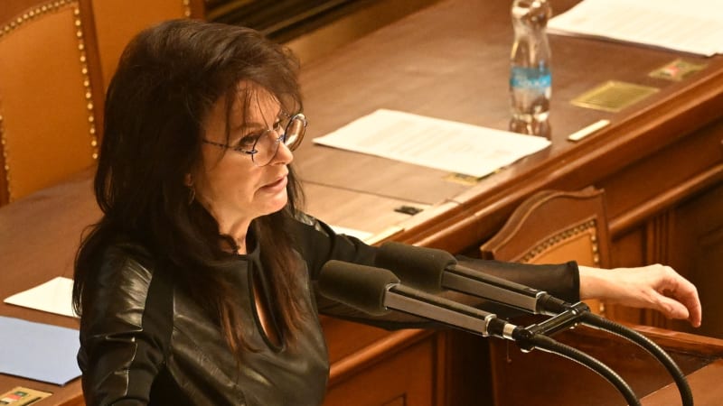 Veseckou prezident žalobou překvapil. Vláda v Ankaře chce prezentovat jen svůj názor, říká