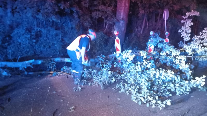 Bouřková smršť řádila v Česku: Vyvracela stromy a ochromila vlaky. U hranic zemřel člověk