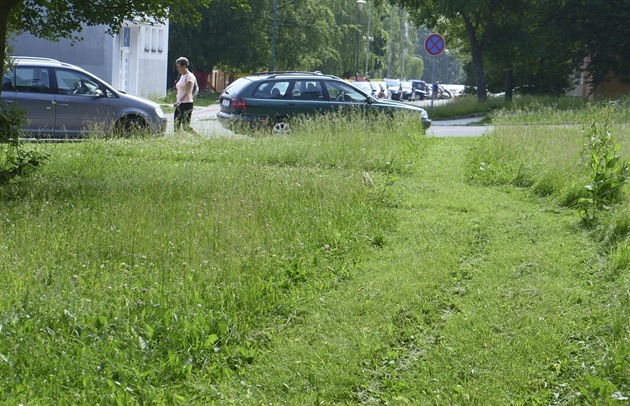 Závratných 162 reklamací. Jihlava řeší potíže s údržbou zeleně, chystá změny